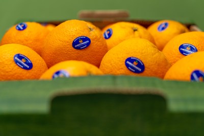 sp_del_oranges-5-1781171873