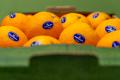 Organic Oranges