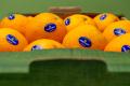 Organic Oranges