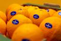 Organic Oranges