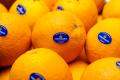 Organic Oranges